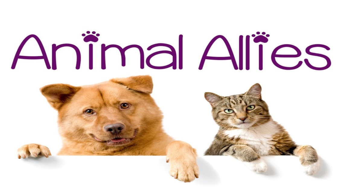 Animal Allies 1200x654