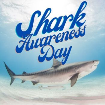 Shark Awareness Day